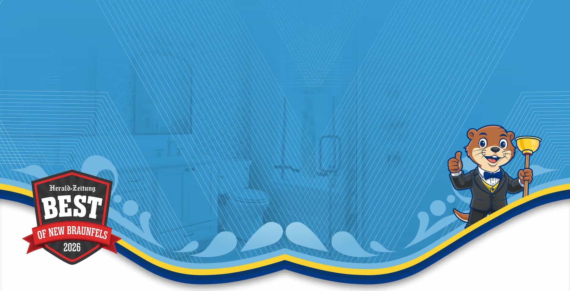 Hero image for Plunger Pros