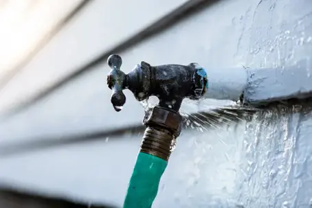 Professional Plumbing Maintenance